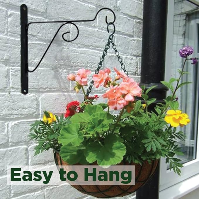 Metal Hanging Hooks, Holder for Indoor Outdoor Planters - Black - Pack of 2 (Wall mounting - 2)