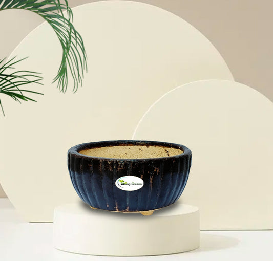 Handmade Black Ceramic Pot / Bonsai Pot