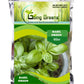 Basil Green Seeds