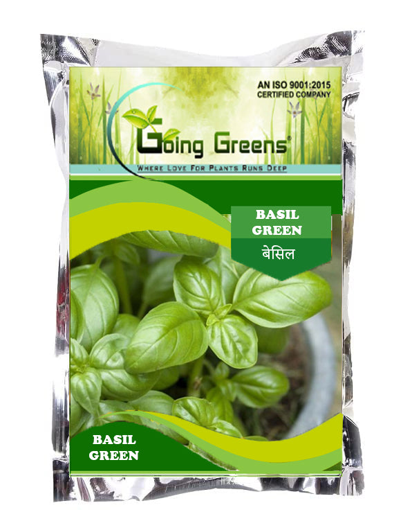Basil Green Seeds