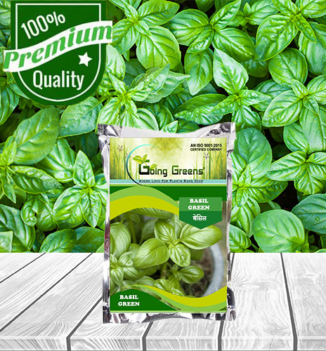 Basil Green Seeds