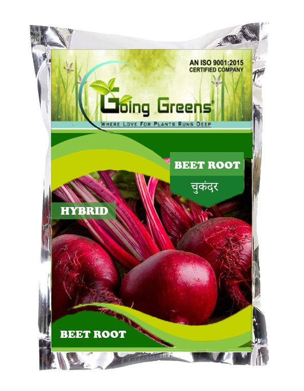 Hybrid Beet Root Seeds