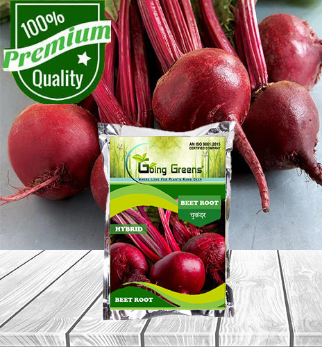 Hybrid Beet Root Seeds