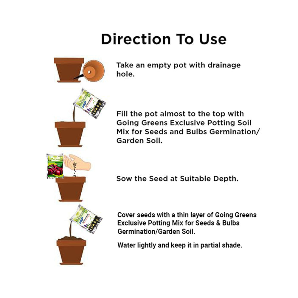 Hybrid Beet Root Seeds