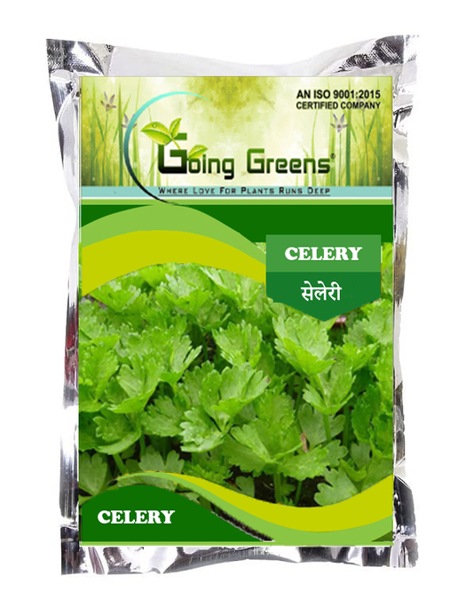 Celery F1 Tallutah Seeds