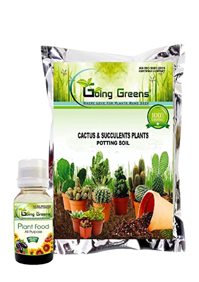 Combo of 2 - Plant Food + Cactus & Succulent Potting Mix