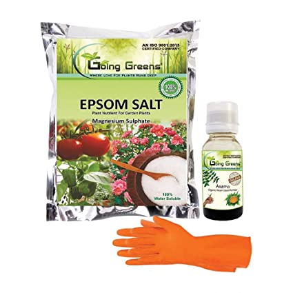 Combo of 3 - Epsom Salt, Arishtha Neem Oil & Orange Hand Gloves