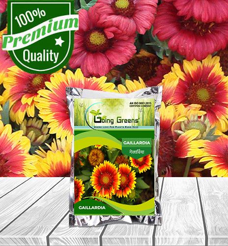 Gaillardia Flower Seeds