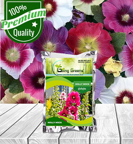 Holly Hock Flower Seeds