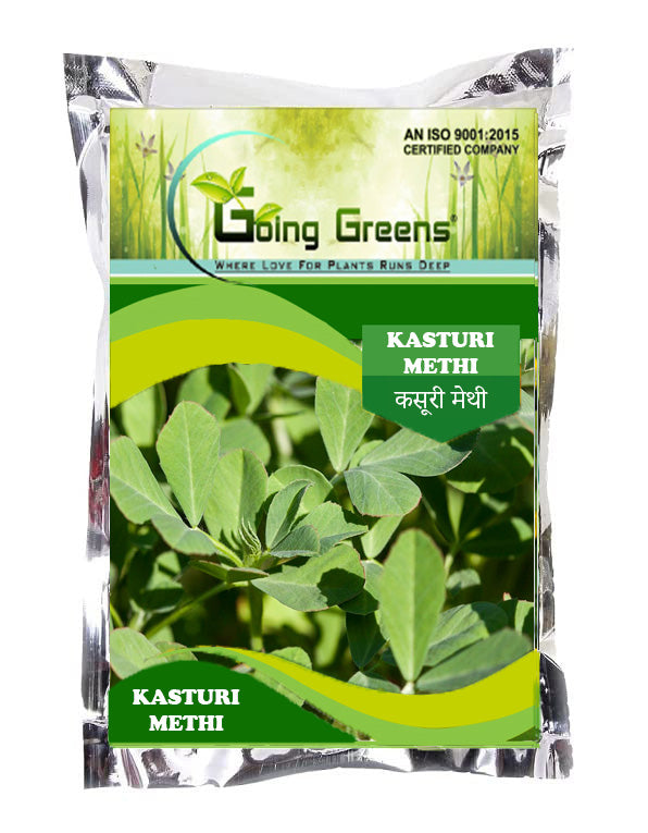 Kasturi Methi Seeds