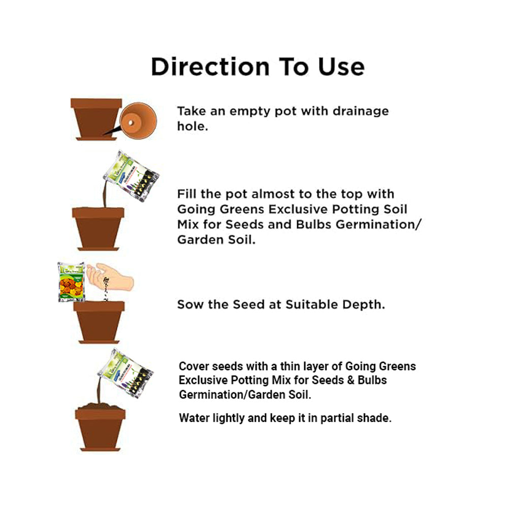 Marigold french Flower Seeds