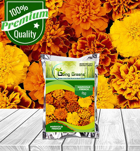 Marigold french Flower Seeds