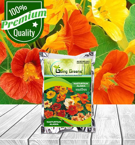 Nasturtium Alaska Flower Seeds