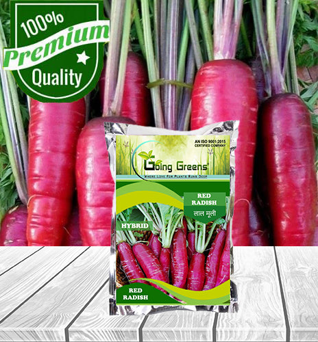Hybrid Red Radish Seeds