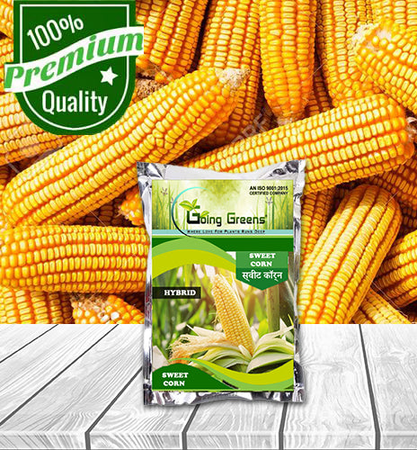 Sweet Corn F1 Hybrid Seeds