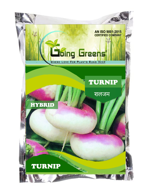 Hybrid Turnip Seeds