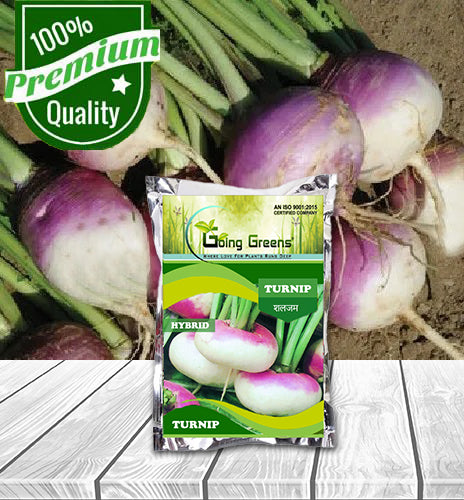 Hybrid Turnip Seeds