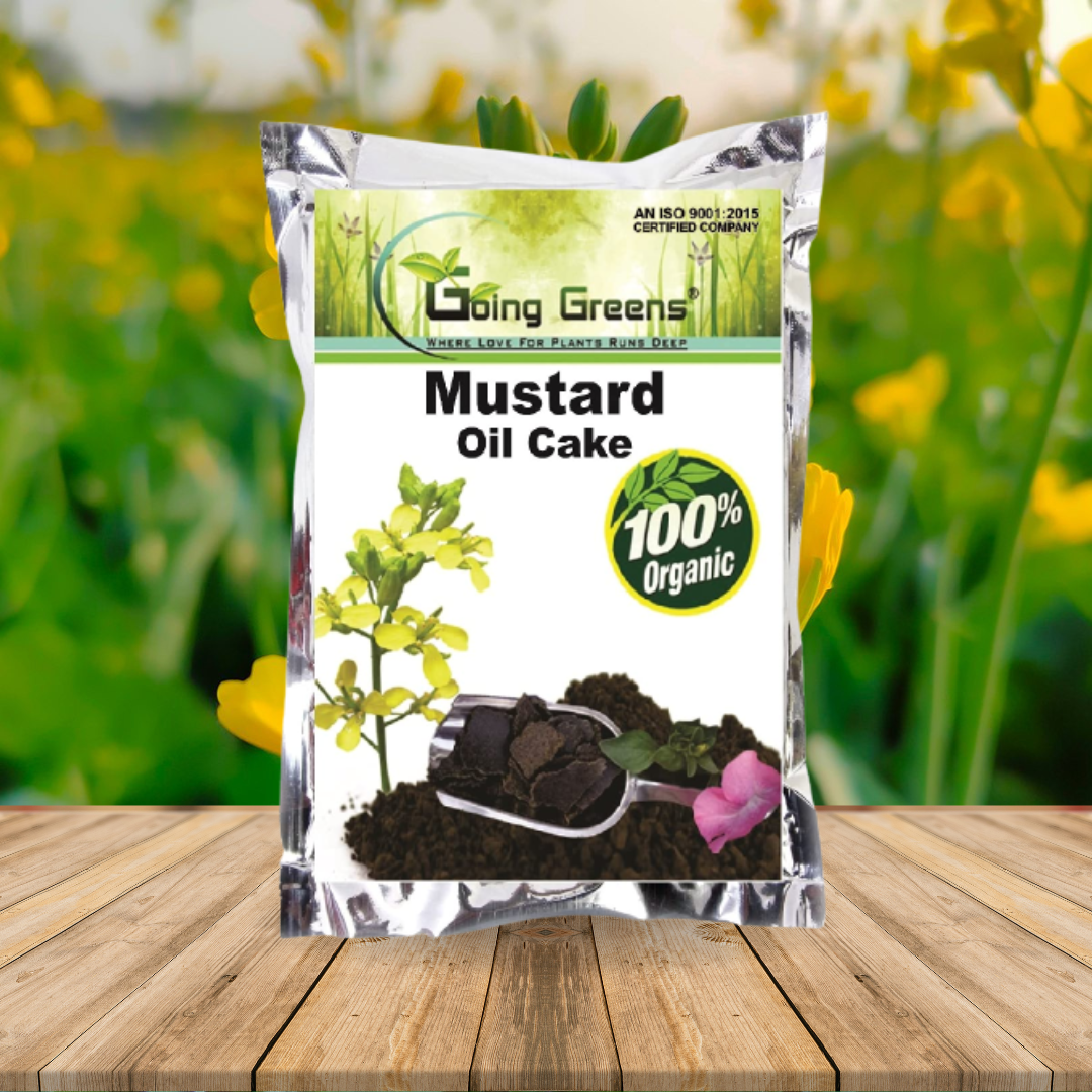 Mustard Oil Cake