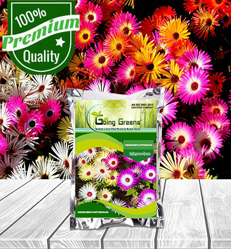 Mesembryanthemum Flower Seeds