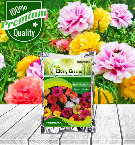 Portulaca Flower Seeds