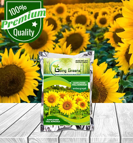 Sunflower Tall Sungold Flower Seeds