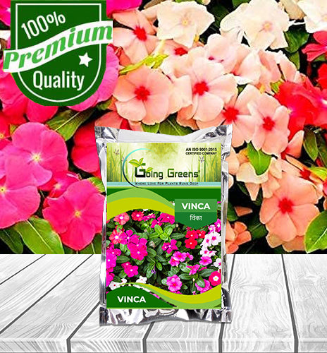 Vinca Flower Seeds