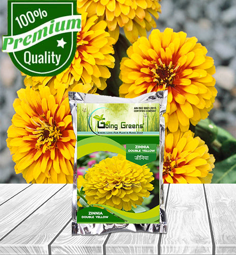 Zinnia Double Yellow Flower Seeds