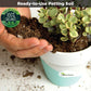 Potting Soil Mix for Cactus & Succulent