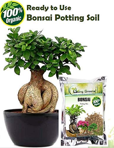 Bonsai Potting Mix