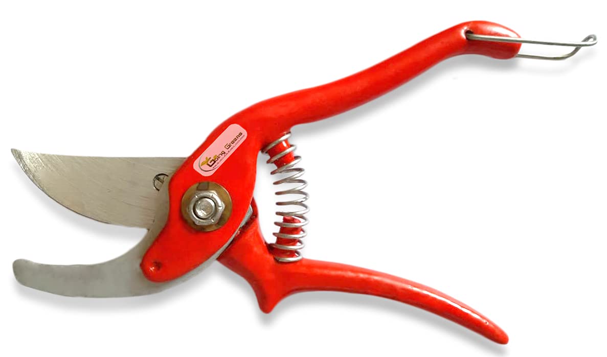 Pruning Secateur (Steel)