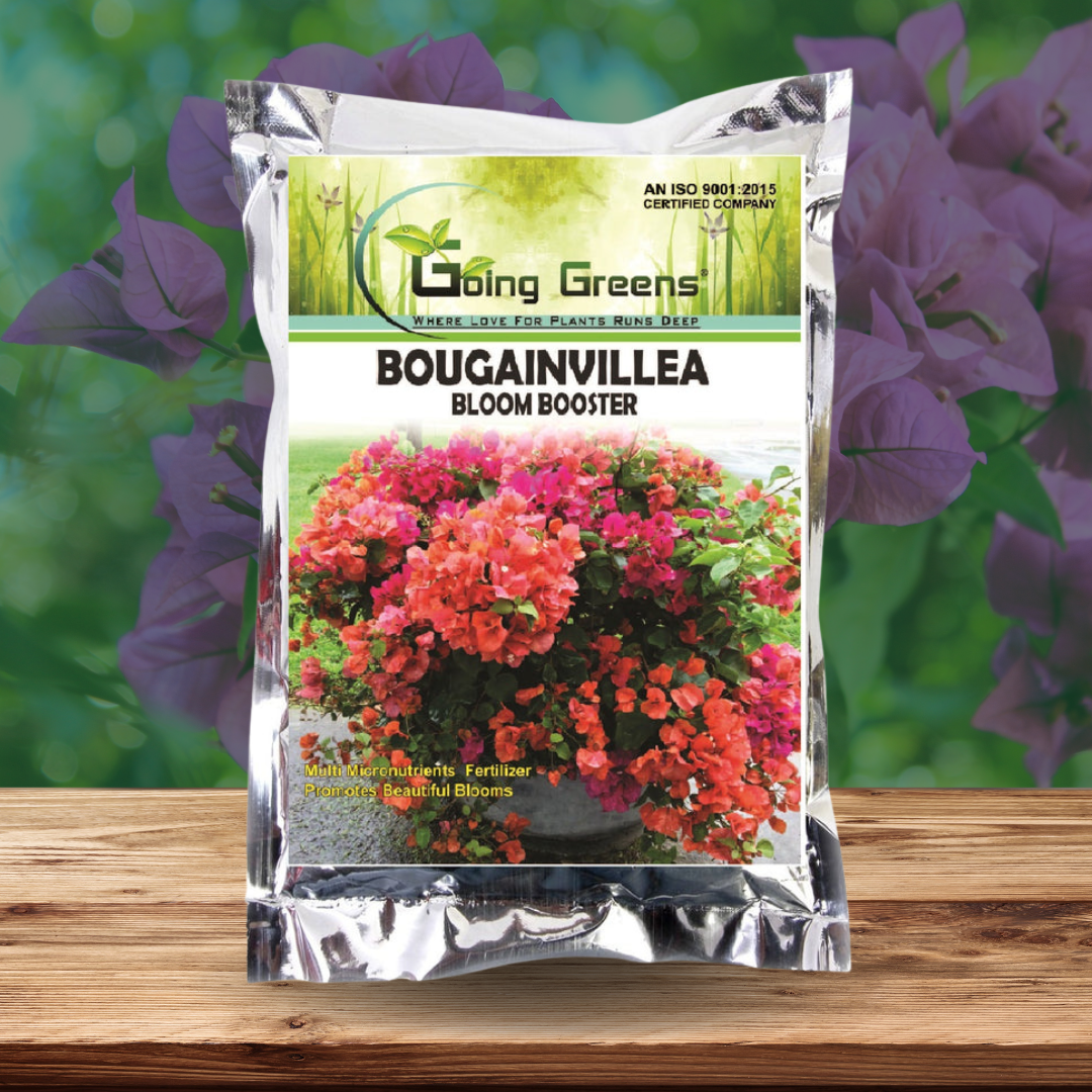 Bougainvillea Bloom Booster The Ultimate Bougainvillea Fertilizer