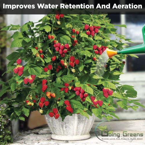 Raspberry Fertilzer