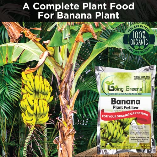 Banana Fertlizer