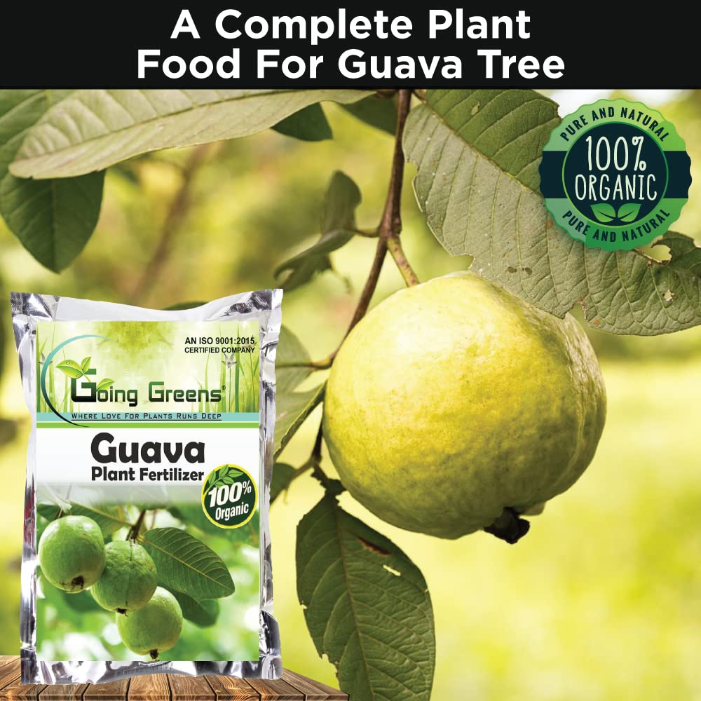 Guava Fertlizer