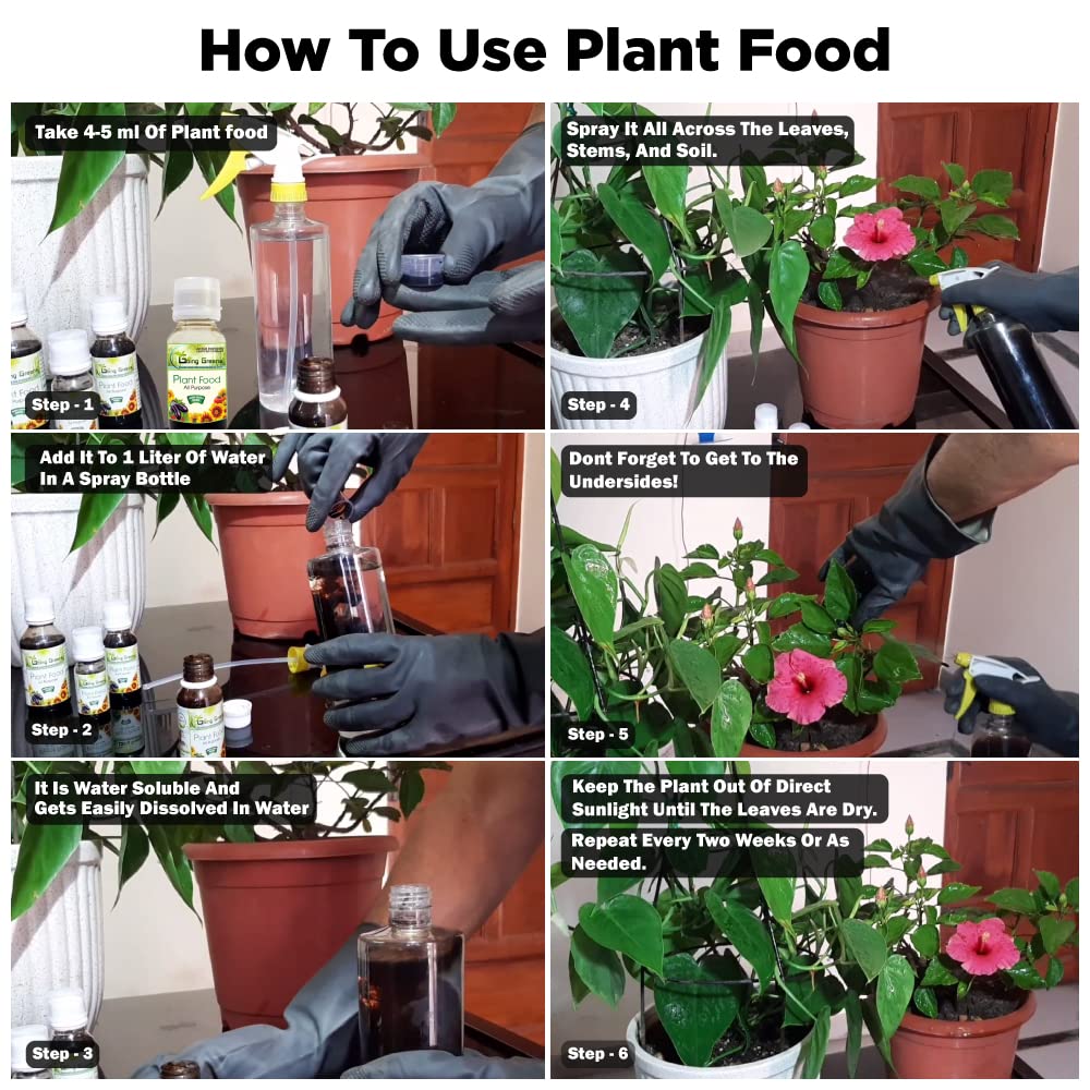 Plant Food