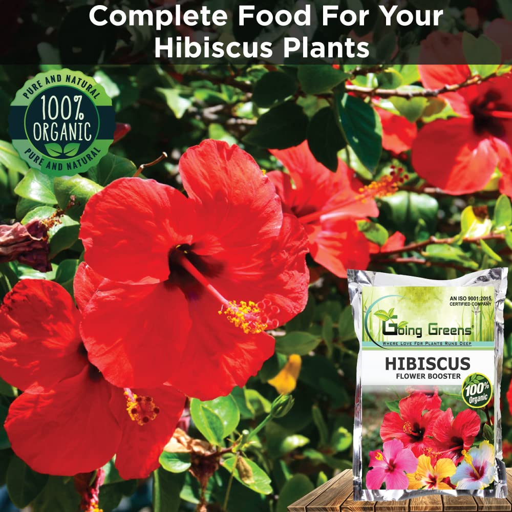 Hibiscus Flower Booster