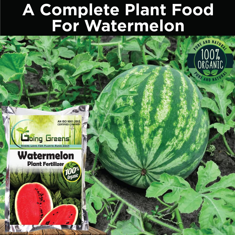 Watermelon Fertlizer