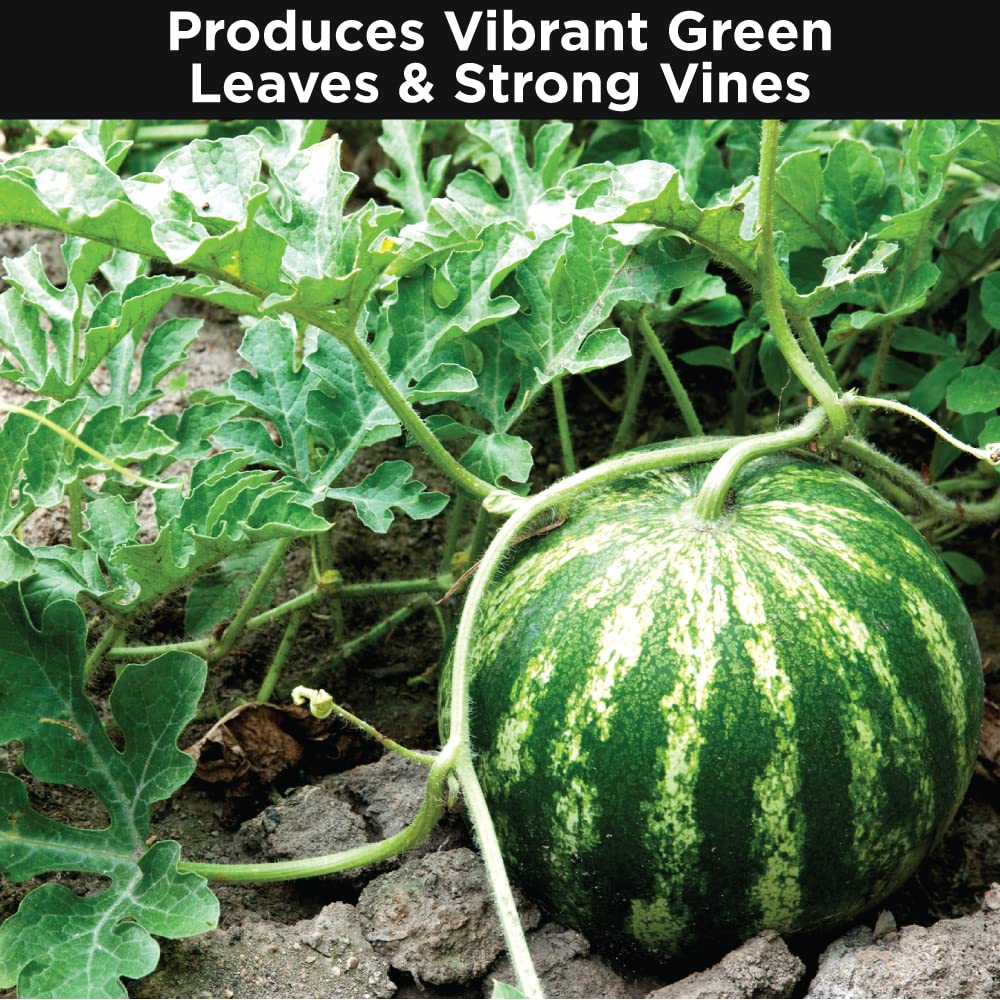 Watermelon Fertlizer