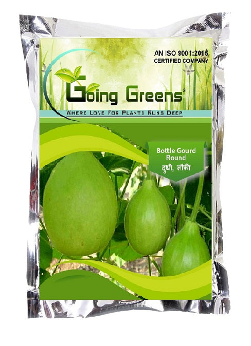 Hybrid Bottle Gourd (Round) Seeds