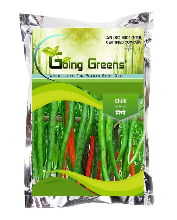 Hybrid Chilli Seeds