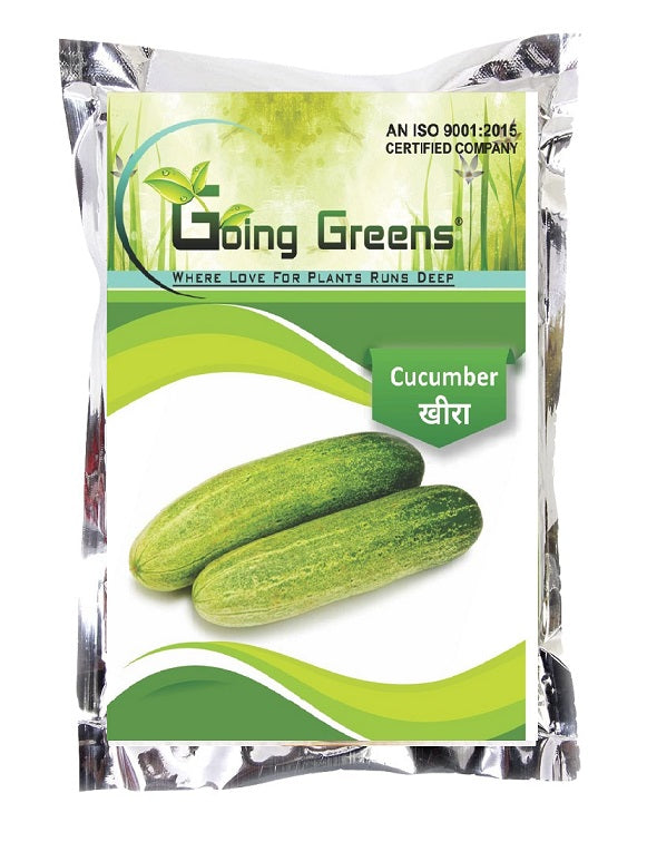 Hybrid Cucumber Seeds