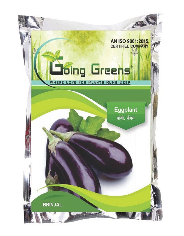 Hybrid Brinjal / Eggplant seeds (Long)