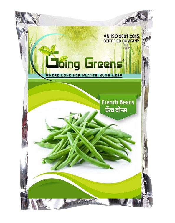 French Beans Seeds
