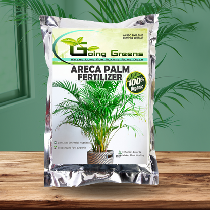 Areca Palm Fertilizer