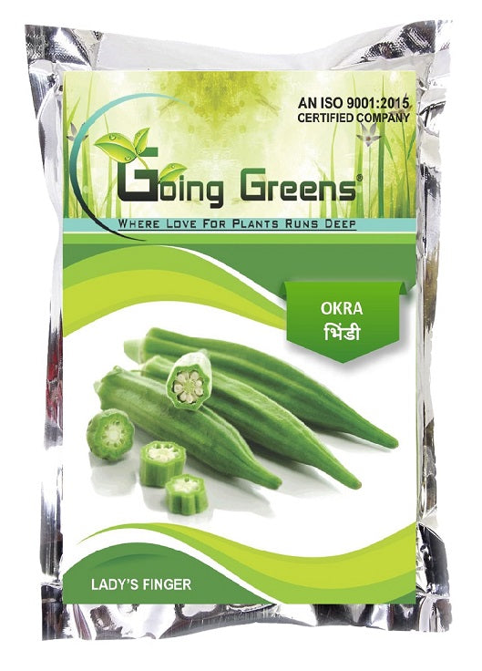 Hybrid Lady's Finger / Okra Seeds