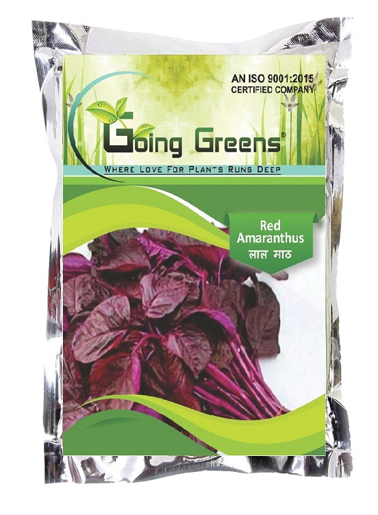 Hybrid Amaranthus Red Seeds
