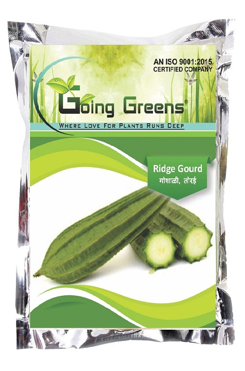 Hybrid Ridge Gourd Seeds