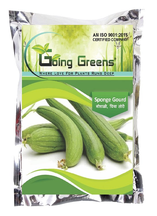 Hybrid Sponge Gourd Seeds