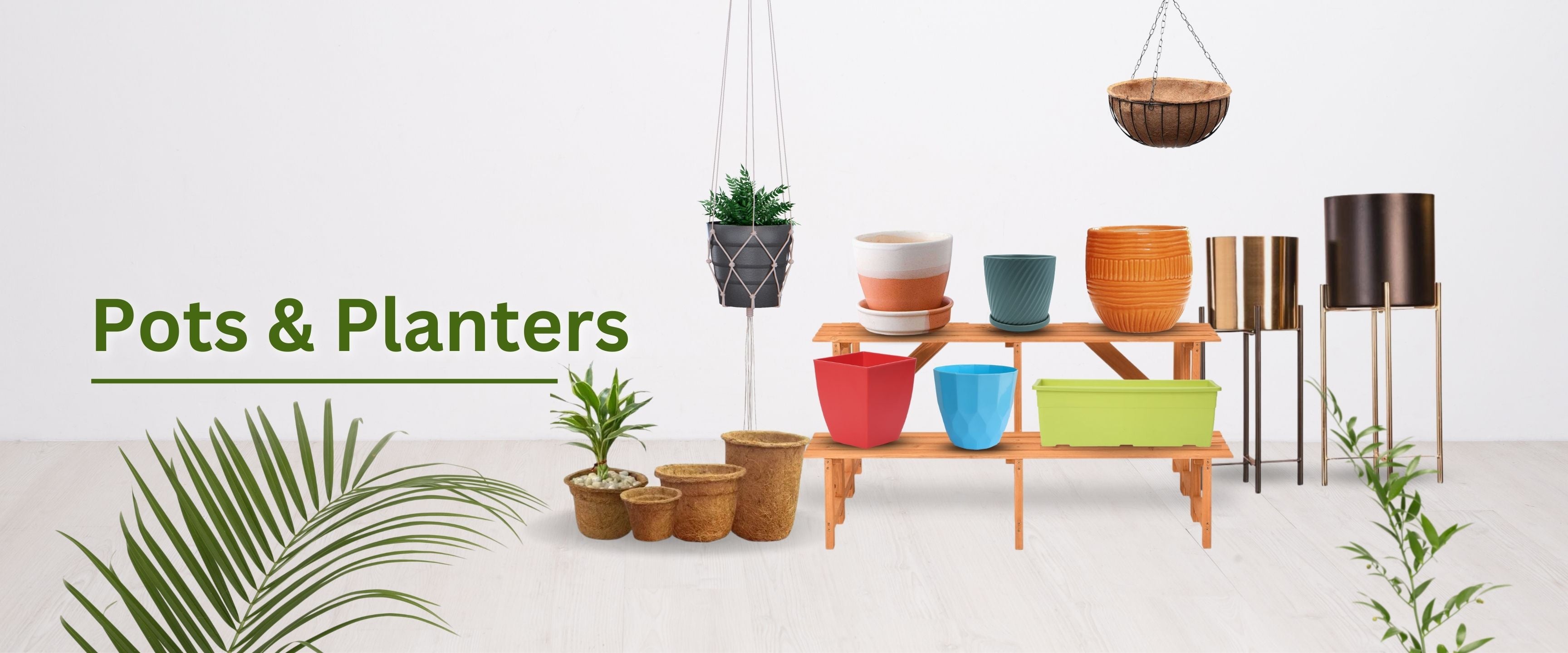 Pots & Planters