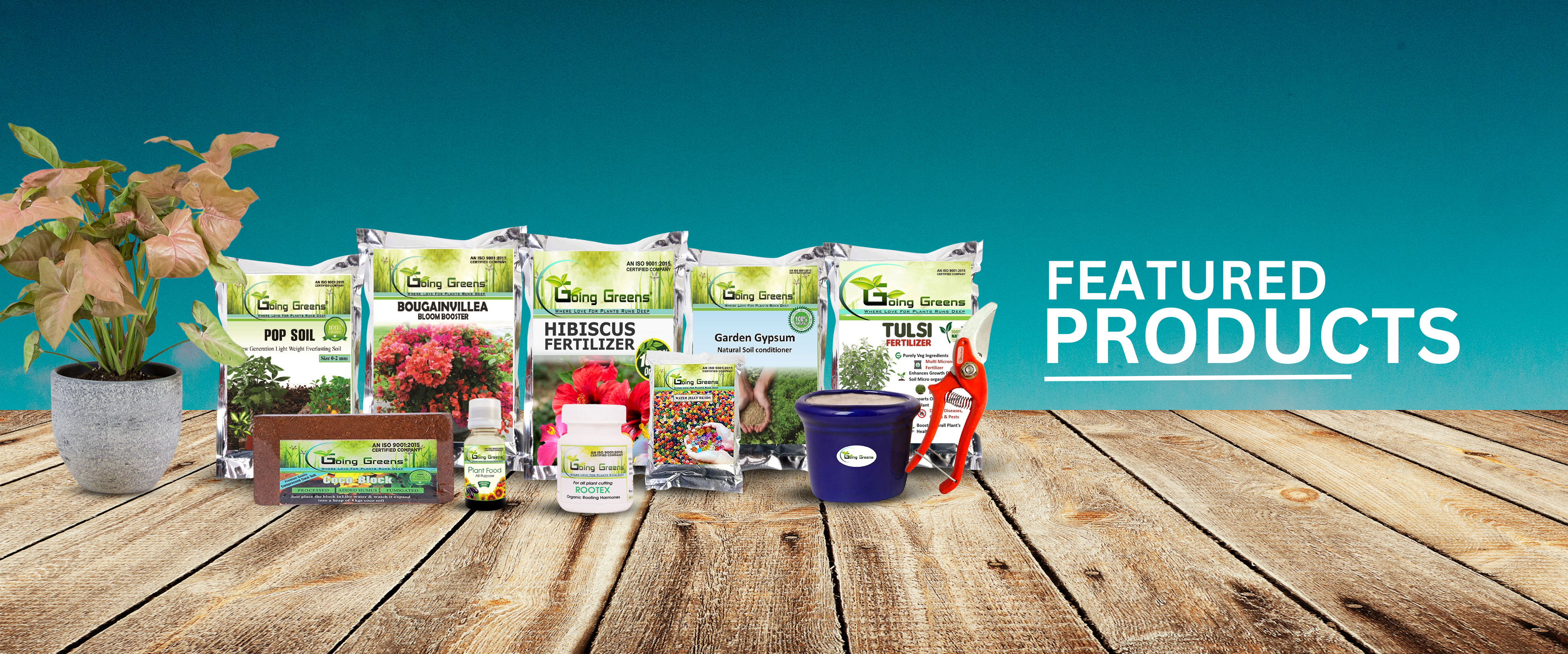 Featured Products